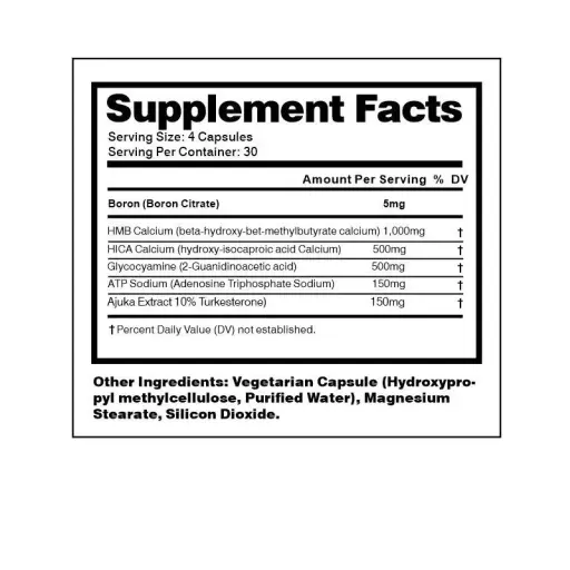 AZURE DRAGON - Image 2